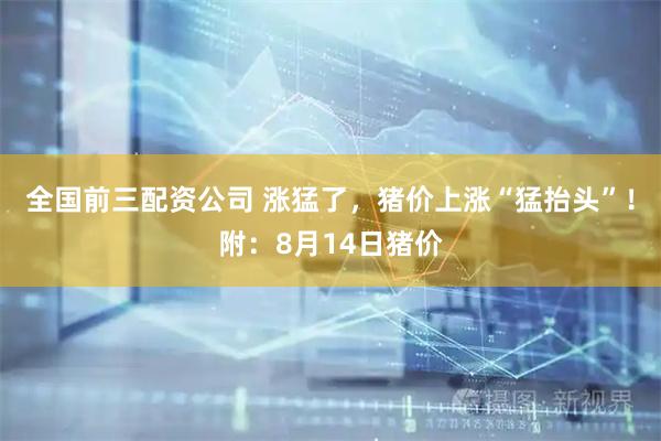 全国前三配资公司 涨猛了，猪价上涨“猛抬头”！附：8月14日猪价