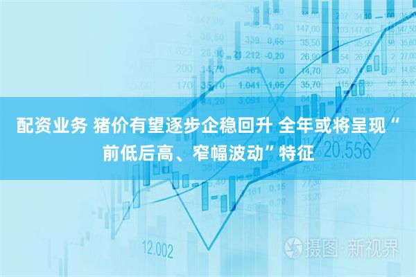 配资业务 猪价有望逐步企稳回升 全年或将呈现“前低后高、窄幅波动”特征